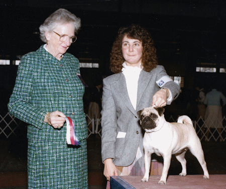 Casey2.jpg (242778 bytes)