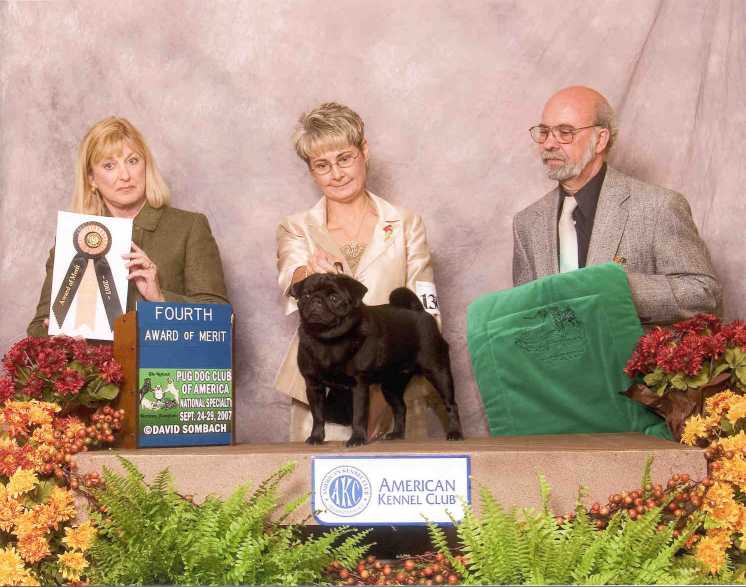 Reddy AoM-2_sm.jpg (55476 bytes)