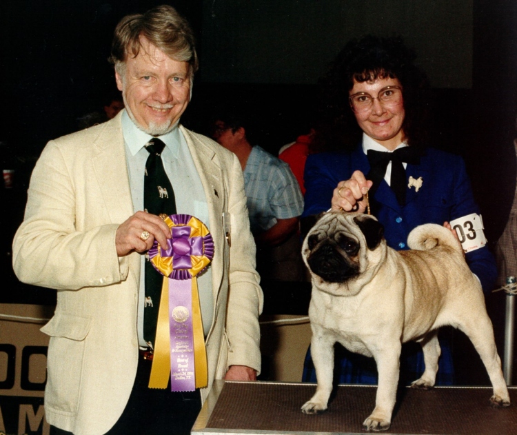 Casey2.jpg (242778 bytes)