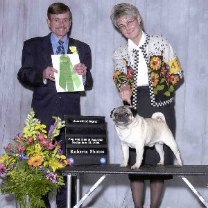 oz_AOM_04.jpg (30298 bytes)