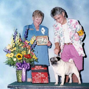 oz_Veteran_04.jpg (32631 bytes)